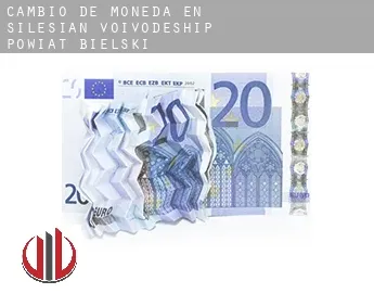 Cambio de moneda en  Powiat bielski (Silesian Voivodeship)