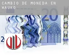 Cambio de moneda en Waukon