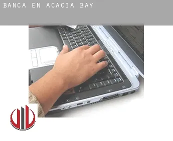 Banca en  Acacia Bay