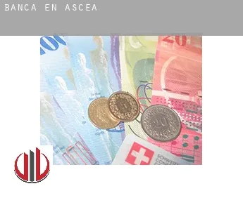 Banca en  Ascea