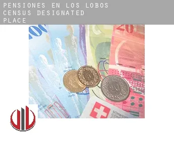 Pensiones en  Los Lobos