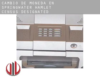 Cambio de moneda en  Springwater Hamlet