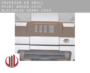 Inversor en  Small Point-Broad Cove-Blackhead-Adams Cove