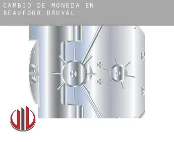 Cambio de moneda en  Beaufour-Druval