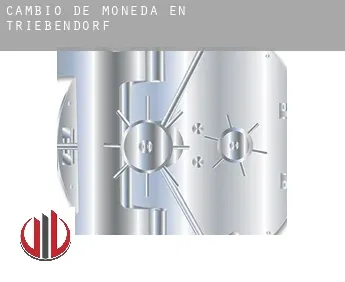 Cambio de moneda en  Triebendorf