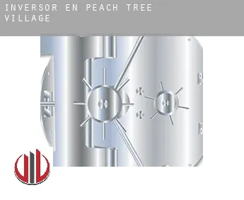 Inversor en  Peach Tree Village