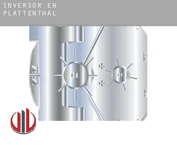Inversor en  Plattenthal