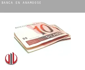 Banca en  Anamoose