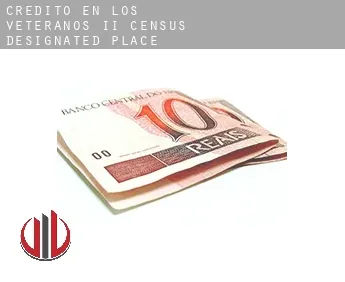 Crédito en  Los Veteranos II