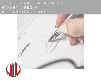 Crédito en  Springwater Hamlet