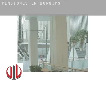 Pensiones en  Burnips