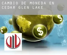Cambio de moneda en  Cedar Glen Lakes