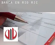Banca en  Rio Rico