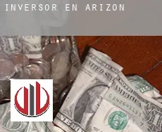 Inversor en  Arizona
